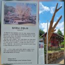 ♨.향교, 서원, 서당 탐방_④
