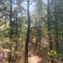 CU 춘천퇴계공단점 이미지