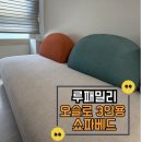 오슬로종합인테리어 | 루패밀리 오슬로 3인용 아쿠아텍스 패브릭 쇼파베드 자취템 강력추천 솔직후기