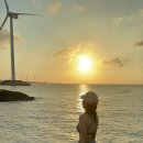 월정뷰게스트하우스코난비치대여점 이미지