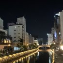 맥지 | [2025.8] 나고야 zip.