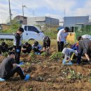 포리초등학교 이미지