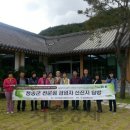 힐링푸드벨리 이미지