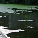 송정천체육공원 이미지