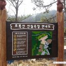 초록산산림욕장 네이버블로그