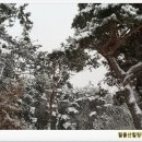 월출산힐링팜 이미지