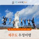우정카서비스 | 제주마당발투어 우정여행으로 알찬 하루 보낸 이용 후기!