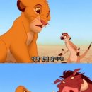 하쿠나마타타 이미지