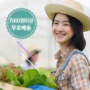 신마농장 이미지