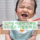 10개월 이유식 스케줄, 3끼 분유량 고민 끝! 푸드케어 클레 후기