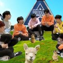 풀떼기 Daum카페