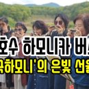 내곡느티나무쉼터 | [백운호수에 흐르는 은빛 선율, 내곡하모니의 봄]
