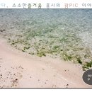 피아이씨스포츠 | 가족들끼리 갈 휴양지 괌여행추천★