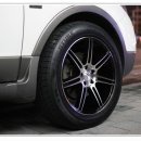 씨티블랙 이미지