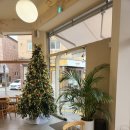 대전도안고등학교 | [대전 카페] 커피를해랑 - 선물상자 같은 카페, 제철 과일 디저트가 좋은 곳