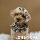 그루머솔 이미지