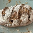 씨유대전도마본점 | 대전 | 전민동 빵지순례 슬로우브레드(feat. 세계제빵월드컵 대빵) 내돈내산 후기