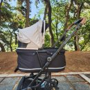 댕댕카 | 댕댕카 구입 후기 &#39;낫쏘빅&#39;