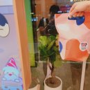 베라102