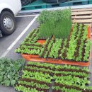 황소농약농자재 이미지