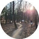 저속노화를 위한 건강법 슬로우조깅&코어 | [나의 운동] 천천히 뛰기 운동 효과 ㅡ 저속노화·생존 운동으로 무릎을 살리고 삶을 이어간다