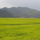 영남모터싸이클 이미지