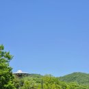 벨포레 놀이동산 | 🎡 증평 벨포레 놀이동산 후기 아기랑 탈 수 있는 놀이기구 + 미니포렛 솔직후기 (키 제한 꿀팁)