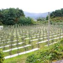 각골농장 이미지