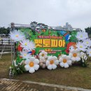 펫토피아 | 2025년 제3회 서산 반려동물 페스티벌 펫토피아 축제 정보 및 방문후기
