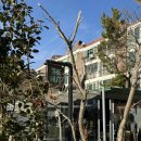 온니애견미용 | 블루라인파크 미포 정거장 바로 옆! 나무 사이로 만난 감성카페 더헛 THE HUT 애견동반후기