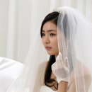 신인을 주목하라 이미지