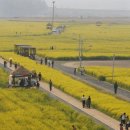 낙동강변23 이미지
