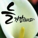 세이 이미지