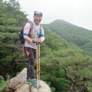 내청 이미지