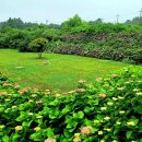 동광리-8 이미지