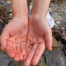 STX오토캠핑장 이미지