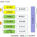 고혈압의 종합적 이해 이미지