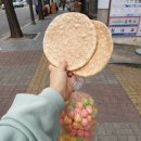개나리봄약국 이미지