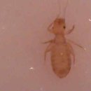 에스디원 이미지