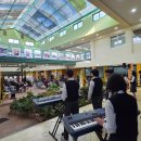 우도초등학교 이미지