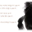 실버코스트88 | [던파 정보] 2017/0905 퍼섭 오리진 업데이트