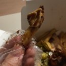 푸라닭명륜점 네이버블로그