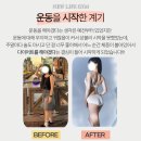 뉴바디피티짐 이미지
