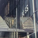 도쿄 자유여행 :: 긴자 우동맛집 츠루동탄 자루우동 후기 (4.1/5.0)