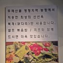 안주짱 이미지