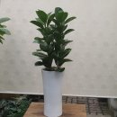 당진롯데공인중개사사무소 이미지