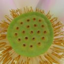 내동마을회관 이미지