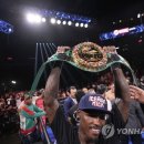 J World boxing 이미지