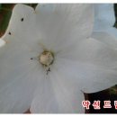 호복 농장 이미지