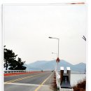 사천대교로 이미지